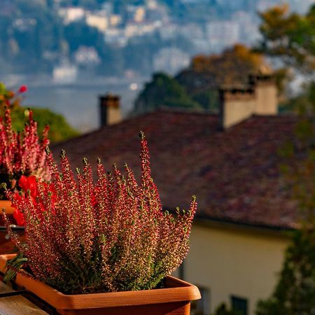 Villa Olmo Cozystay Como Eksteriør bilde