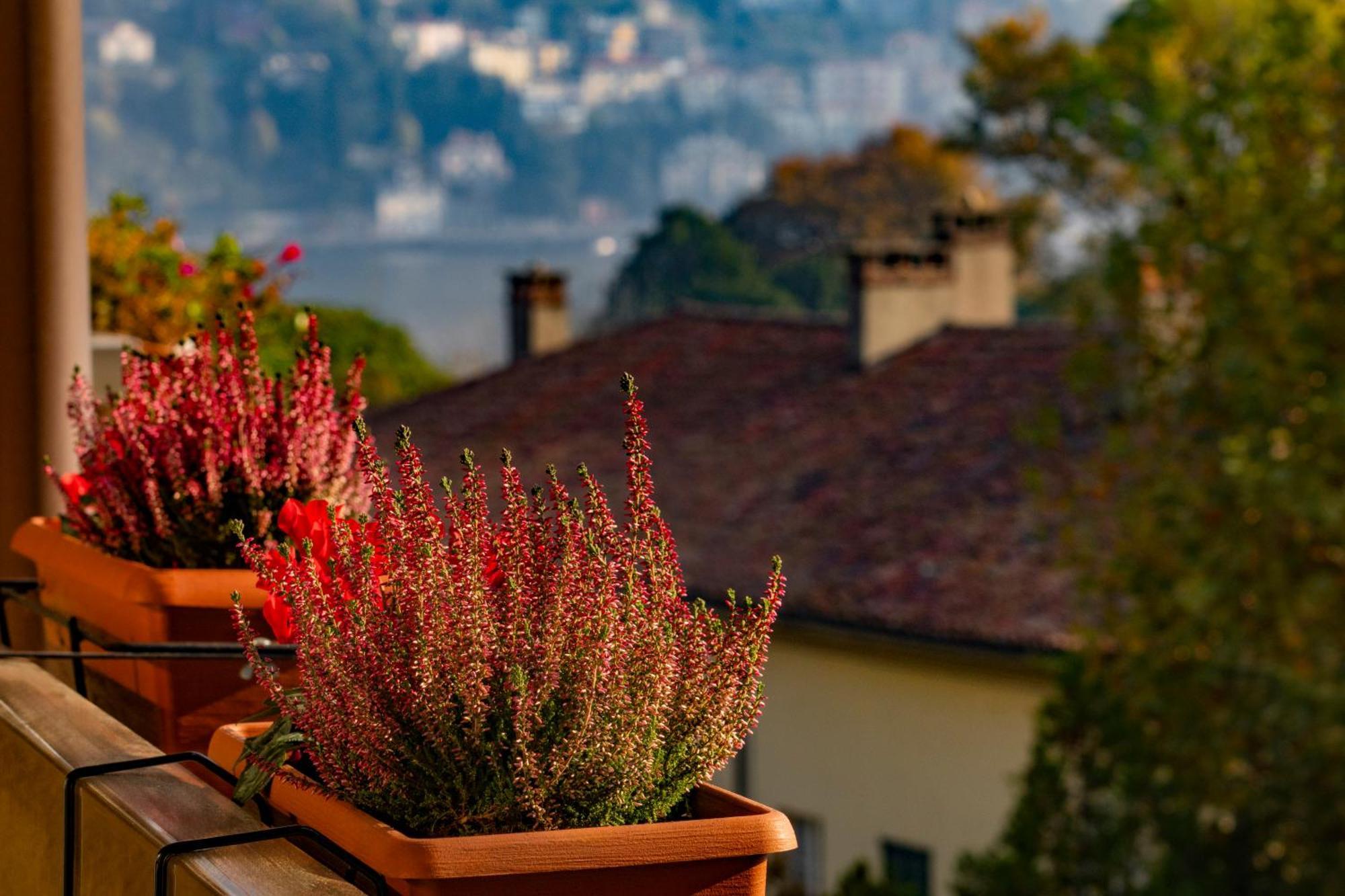 Villa Olmo Cozystay Como Eksteriør bilde